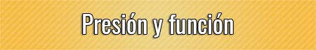 presion-y-funcion