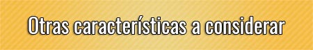 otras-caracteristicas-a-considerar