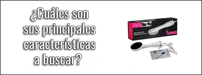 Cuáles-son-sus-principales-características-a-buscar