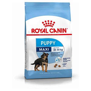 ROYAL-CANIN-Puppy-Maxi