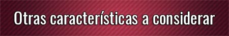 otras-caracteristicas-a-considerar
