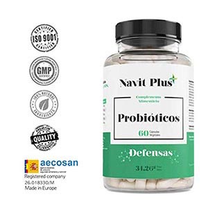 Navit-Plus