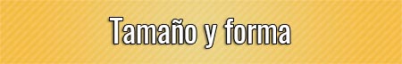 tamano-y-forma