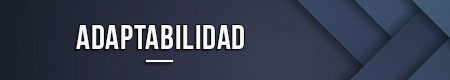 adaptabilidad