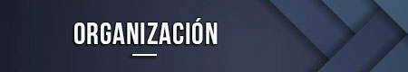 organizacion