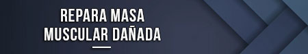repara-masa-muscular-danada