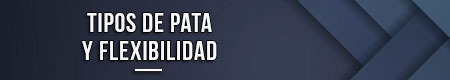 tipos-de-pata-y-flexibilidad