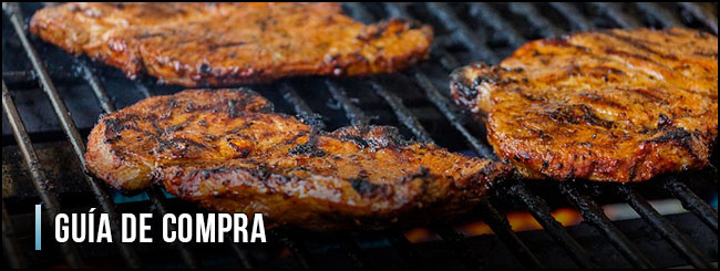 guia-de-compra-barbacoa-de-gas