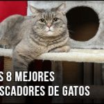 El Mejor Rascador (Estructura) para Gatos – ¿Qué comprar? También Buenos y Baratos (Agosto 2021)