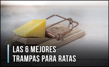 mejor-trampa-para-ratas
